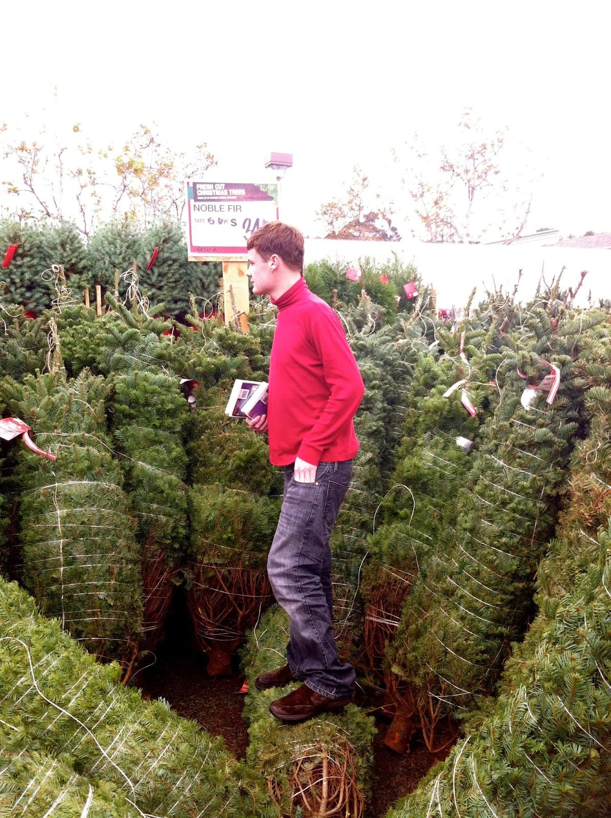 Do Tell! Sensory Integration at Christmas