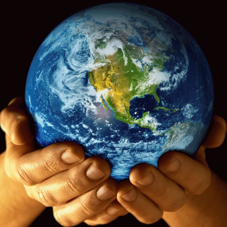 Meditation, Eradication and the Oil Spill