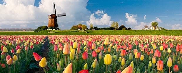 Welcome to Holland