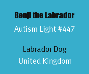 Benji the Labrador