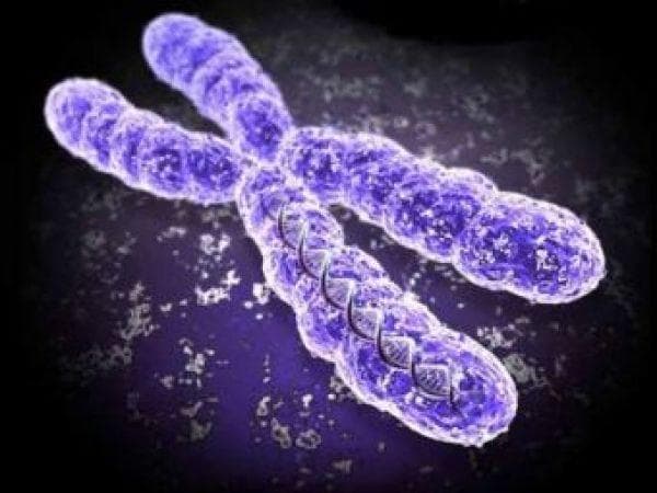 Chromosome 5 and Autism Connection