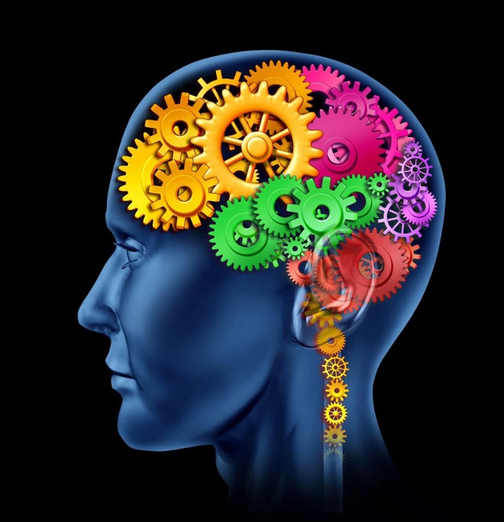 Self Regulation Defined