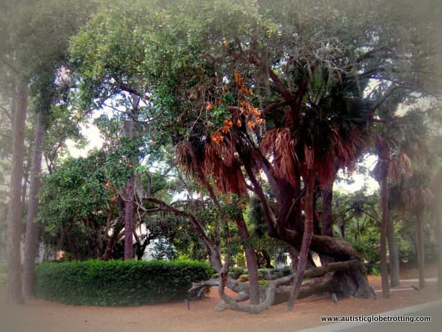 10 Autism Friendly Experiences in Hilton Head, SC