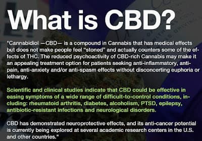 We Use CBD Oil to Help Our Autistic Bipolar Son