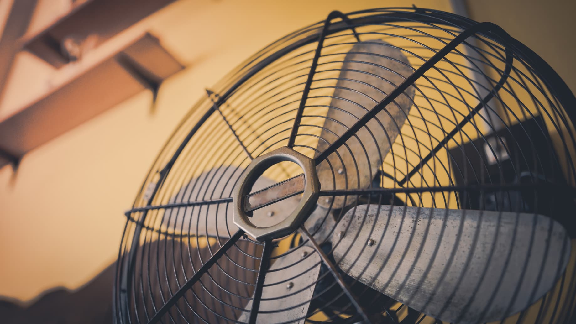 Fan Watching