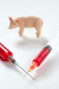 H1N1 Vaccine Misconceptions