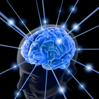 Ambiguous Neurodiversity