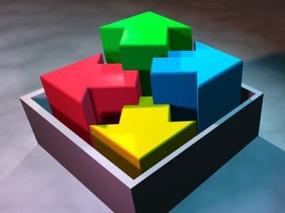 Options and Choices for Autistic Individuals