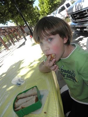 Picnics at the Farmers' Market