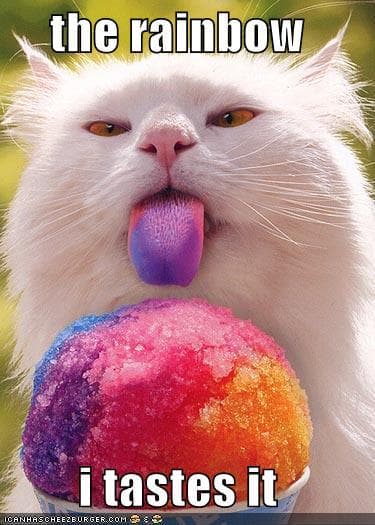 Taste The Rainbow: A Review of 'Asperger's Are Us`