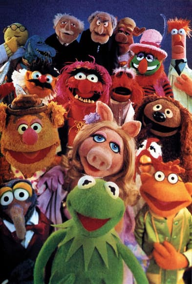 The Muppets warped my baby's brain?