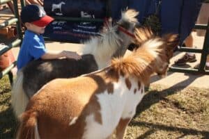 A Trip to the Autism Fair
