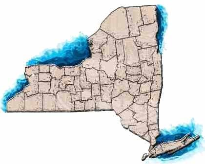 New York State Autism Legistlation