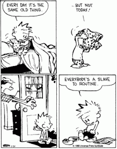 Summer Routines