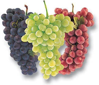 The Grapes of Wrath