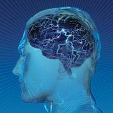 Autism and the Brain