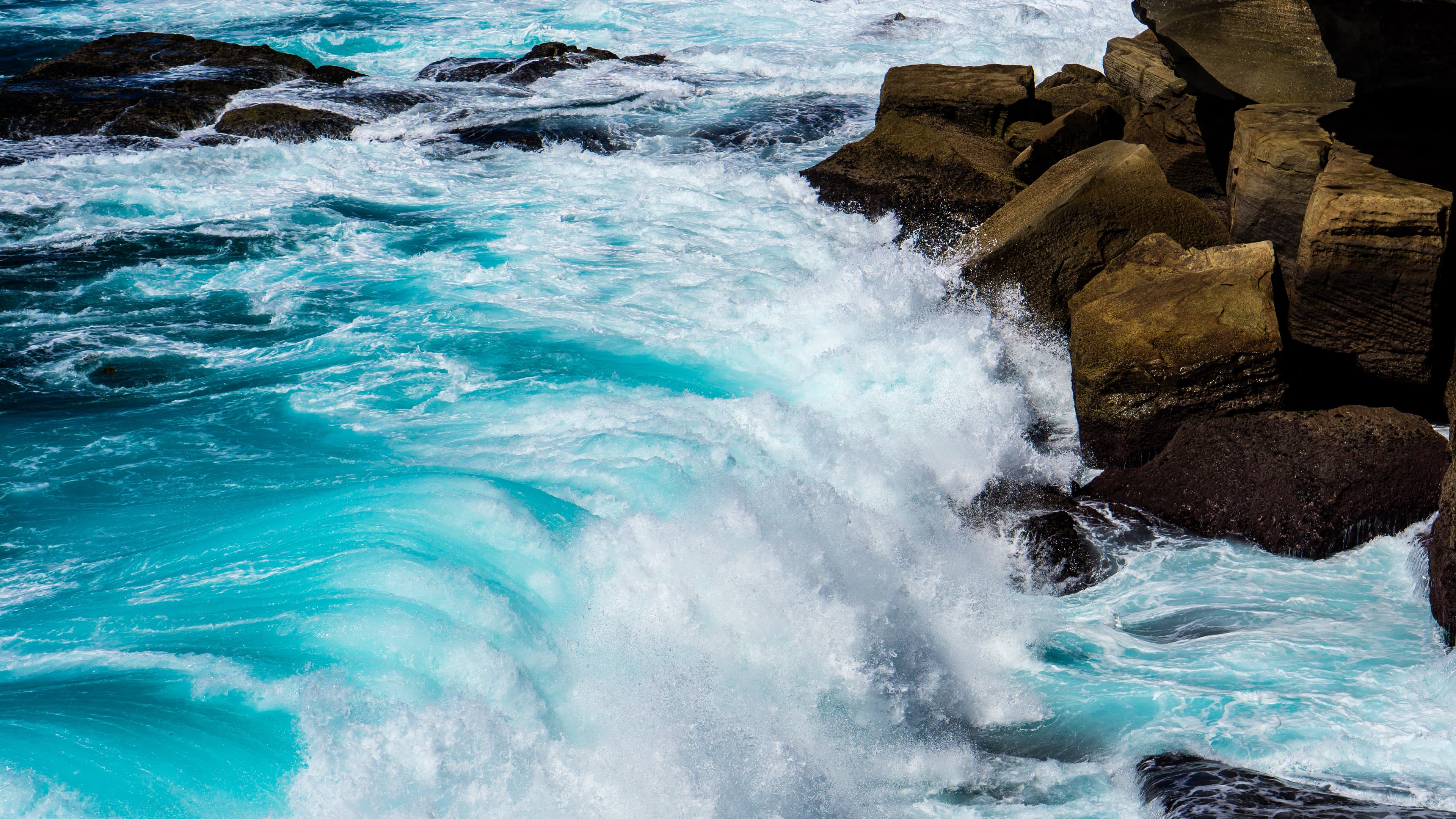 The Sea