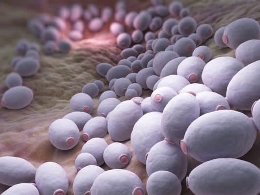Yeast Overgrowth