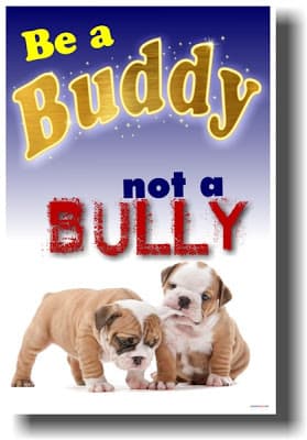 Even a Bully Can Become a Buddy!