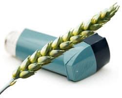 Wheat Exposure