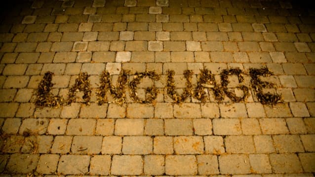 The Universality of Language