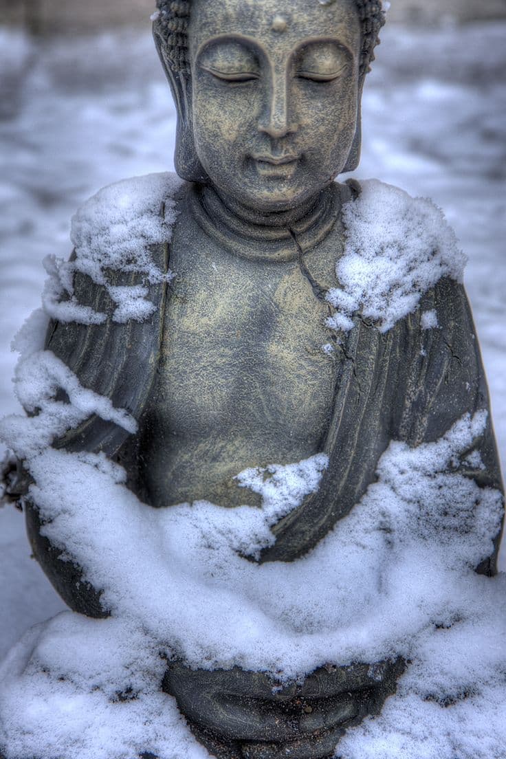 Buddha & the Icepocalypse Revisited