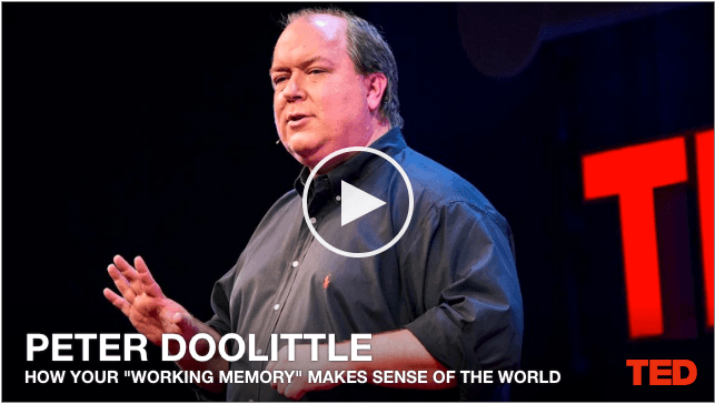 The Importance of Working Memory