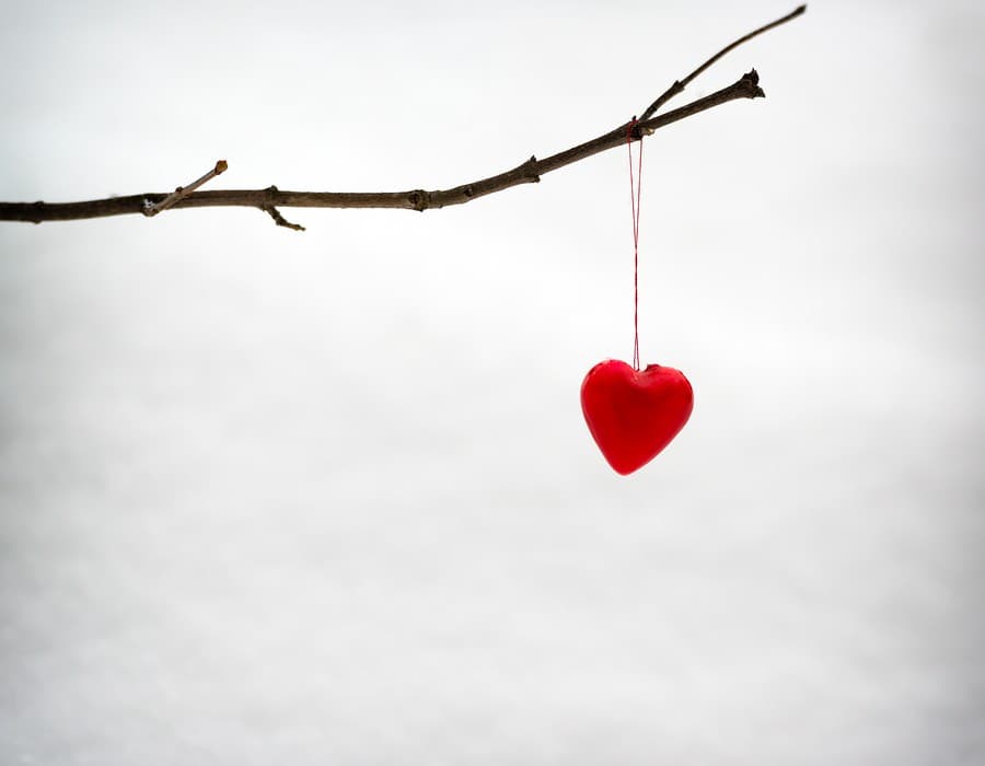 Hope Saves the Day: Children and Adults with Autism Dealing with loss