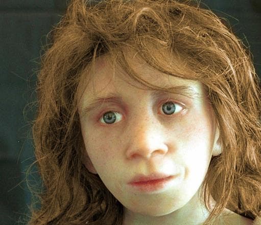 The Neanderthal Theory of Autism and Asperger's