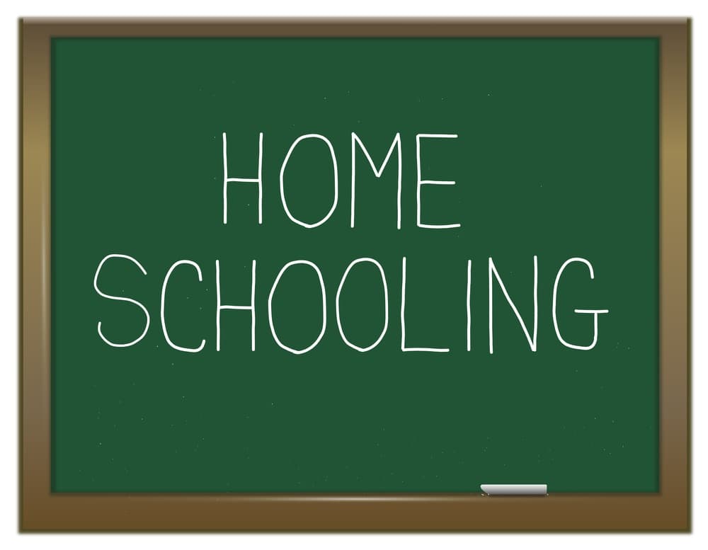 New Homeschool Aspie Group