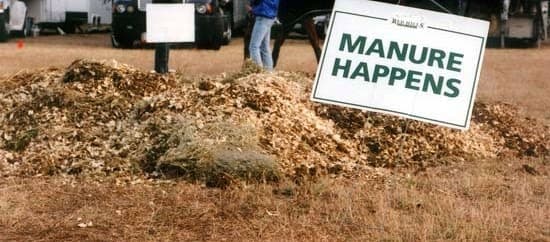 Dr. Turner's Manure Versus the $2095 Sedative