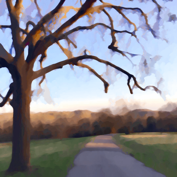 The Inability to Run From Life: A Midlife Blogger's Perspective