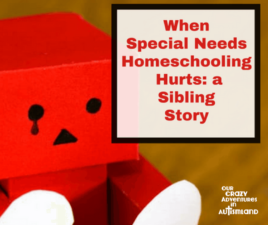 When Special Needs Homeschooling Hurts: A Sibling Story