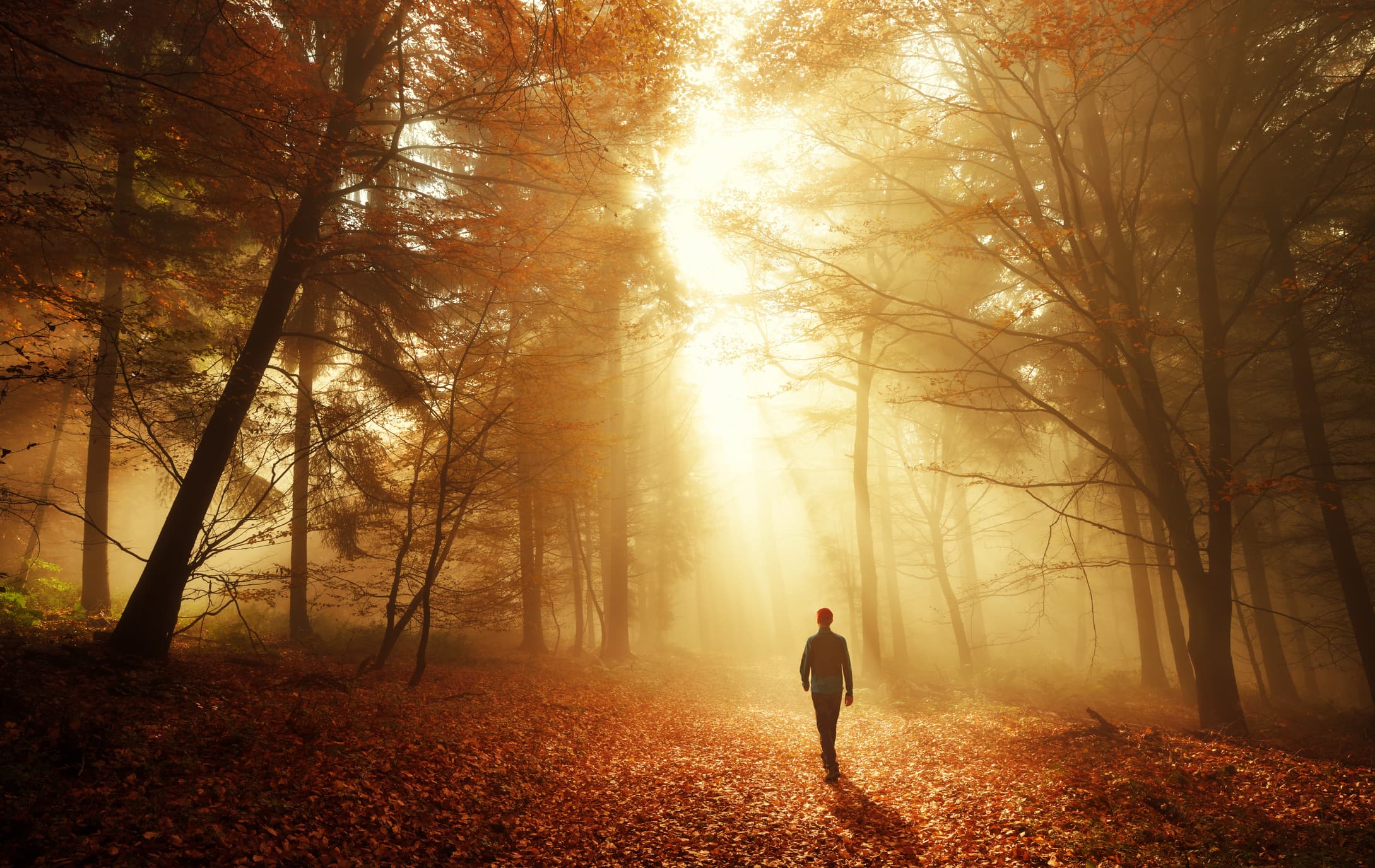 Electronic tracking ‘lifesaver’ for people who may wander