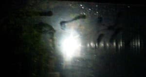 Some things are worth keeping
