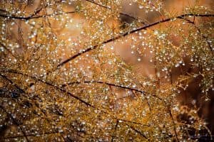 Fall-Friendly Days Out