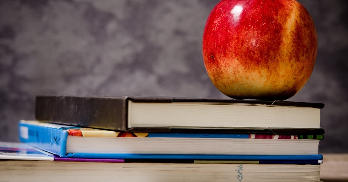 Education 2020: School Choice Amid a Global Pandemic