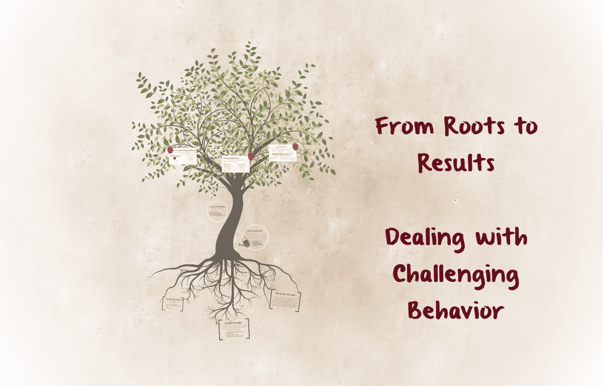 From Roots To Results: Dealing with Challenging Behavior