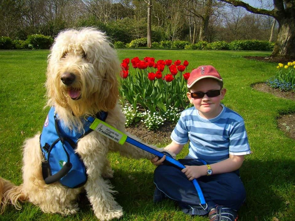 Q&A with Clive Ireland's Autism Service Dog Extraordinaire