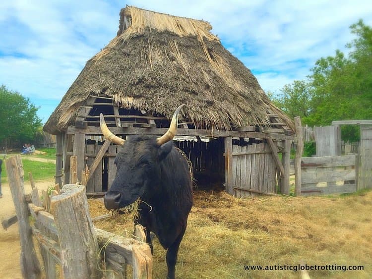 Best Thanksgiving Destinations For Families With Autism