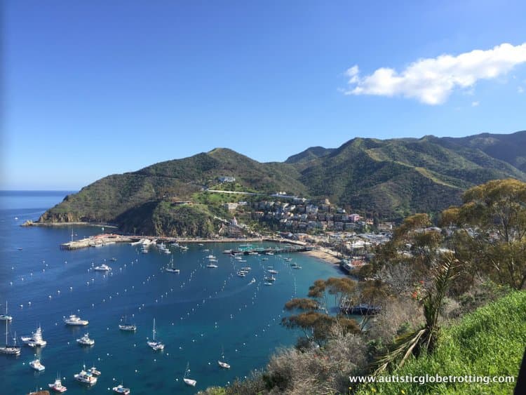 Taking the Catalina Eco Friendly Jeep Tour with Kids
