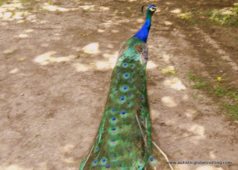 Visiting Don Silvino Argentinian Estancia