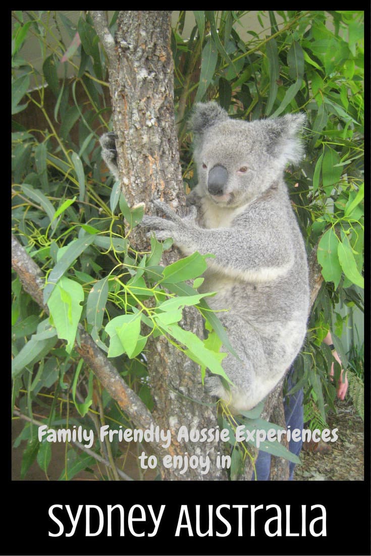Family Friendly Experiences in Sydney Australia