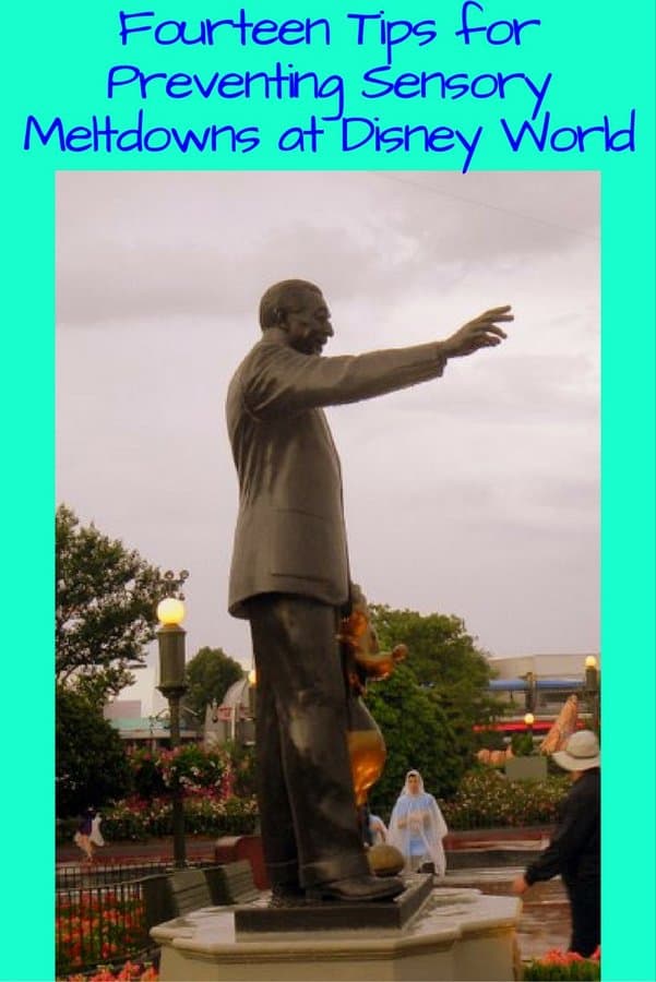 Fourteen Tips for Preventing Sensory Meltdowns at Disney World