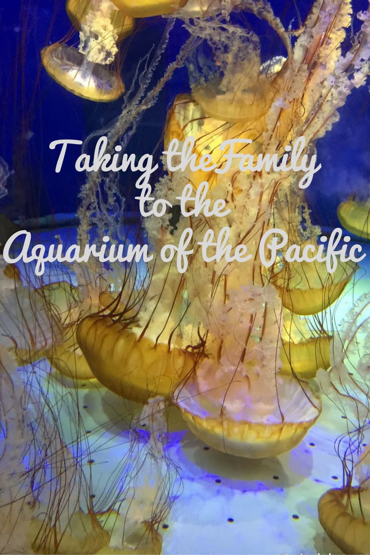 Taking the Family to the California Aquarium of the Pacific