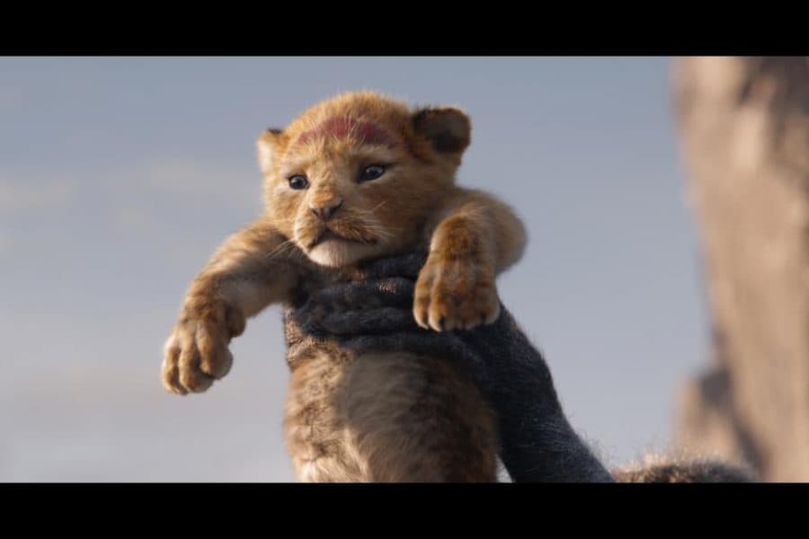 Disney's The Lion King: Must See or Pass?