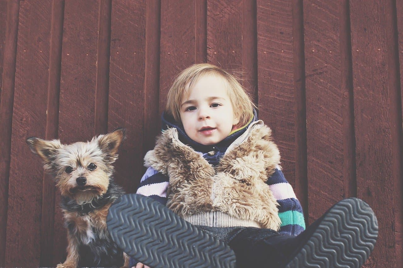 How Animals Can Benefit Children with Autism