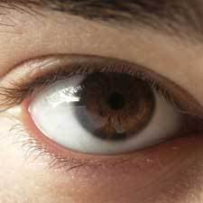 It's in their eyes