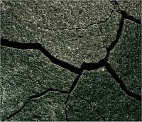 Autism and It's Fractured Community