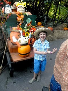 Halloween Preparation